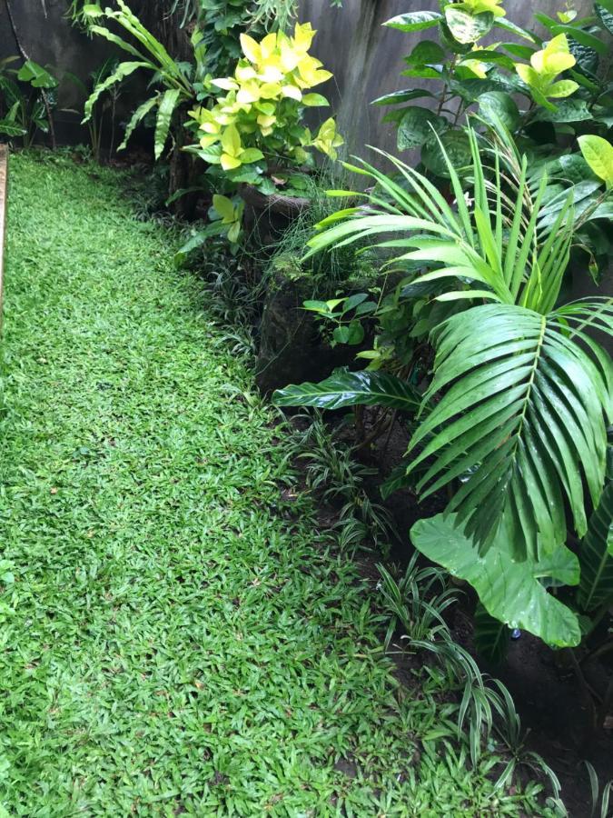 Griya Telaga Jumpung Apartment Ubud  Exterior photo